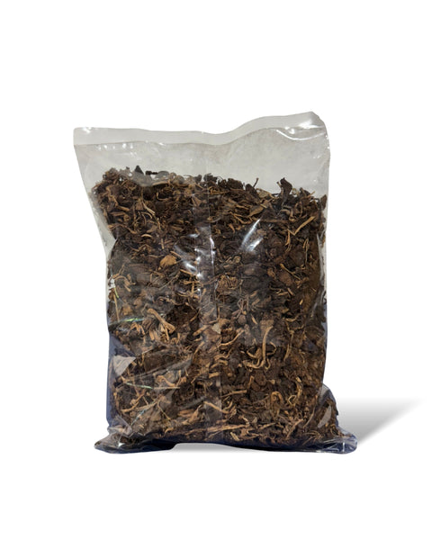 Djondjon (Black Mushroom)